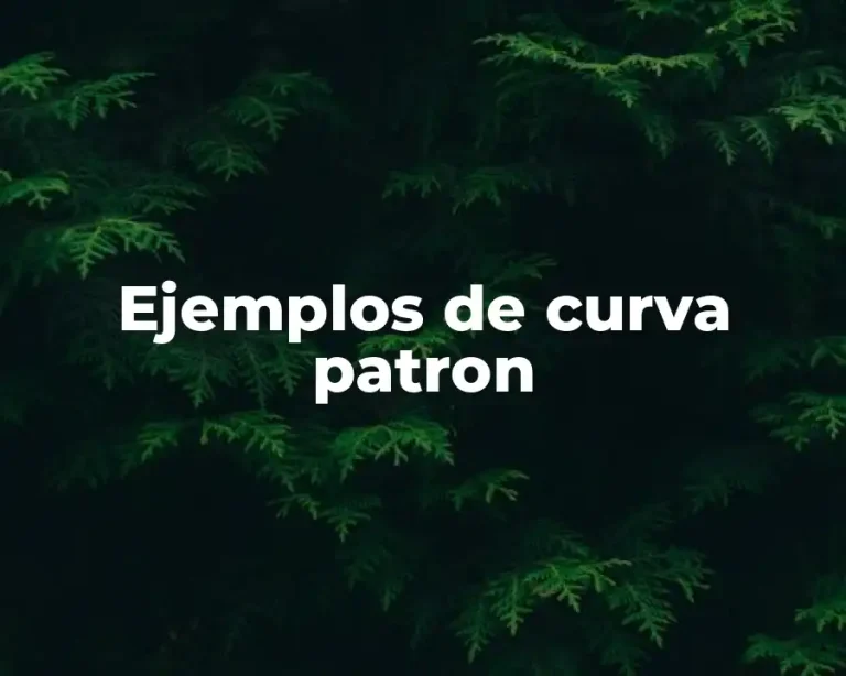 Ejemplos de curva patron