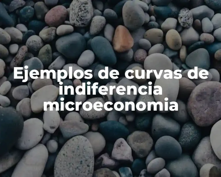 Ejemplos de curvas de indiferencia microeconomia