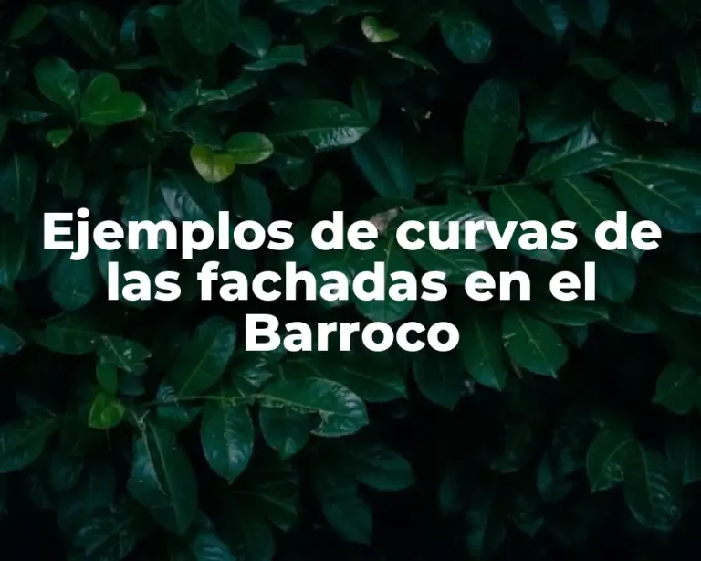 Ejemplos de curvas de las fachadas en el Barroco