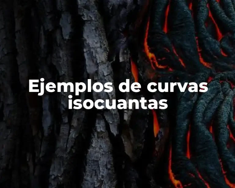 Ejemplos de curvas isocuantas