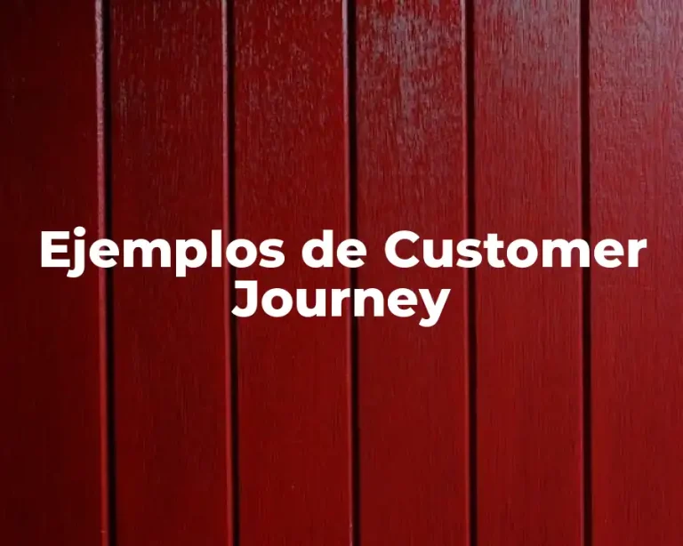 Ejemplos de Customer Journey