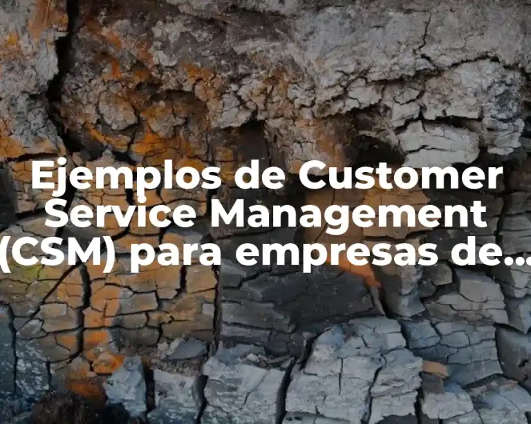Ejemplos de Customer Service Management (CSM) para empresas de servicios