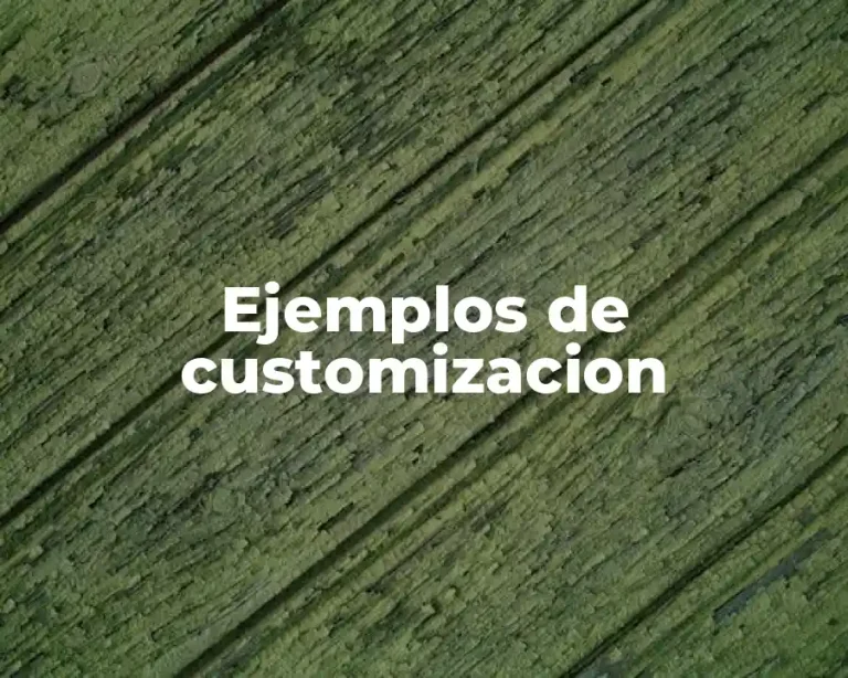 Ejemplos de customizacion