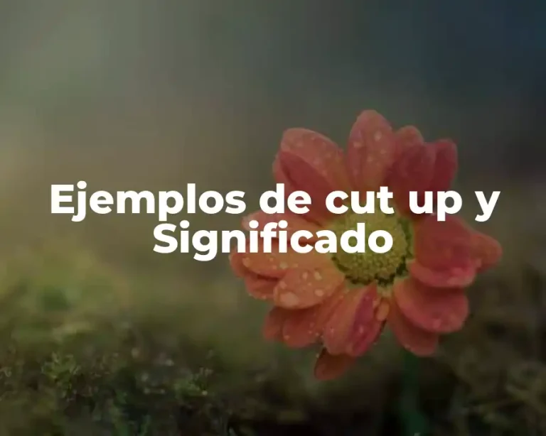 Ejemplos de cut up y Significado