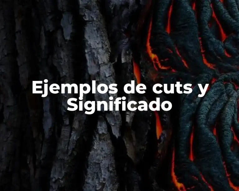 Ejemplos de cuts y Significado