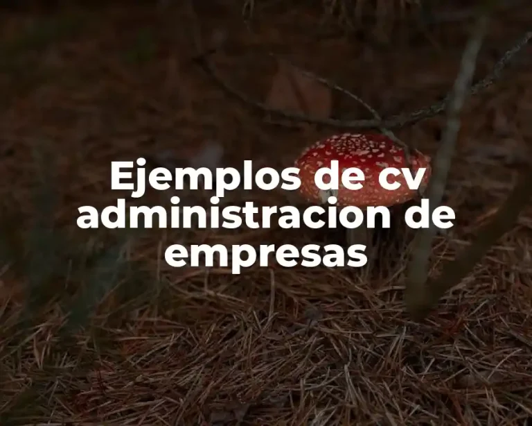 Ejemplos de cv administracion de empresas