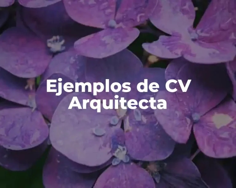 Ejemplos de CV Arquitecta