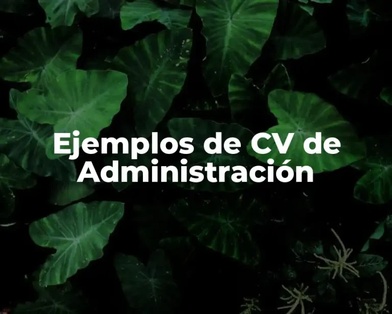 Ejemplos de CV de Administración
