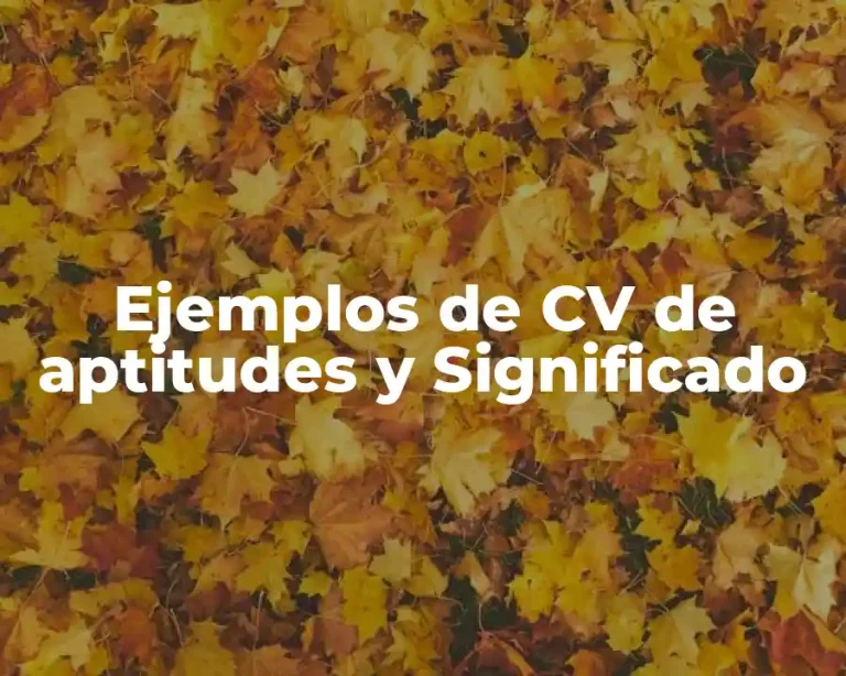 Ejemplos de CV de aptitudes y Significado