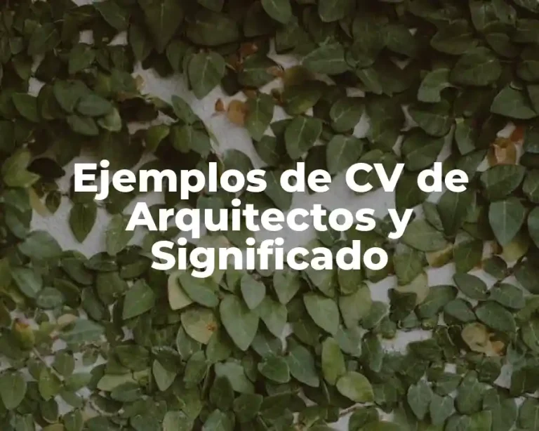 Ejemplos de CV de Arquitectos y Significado