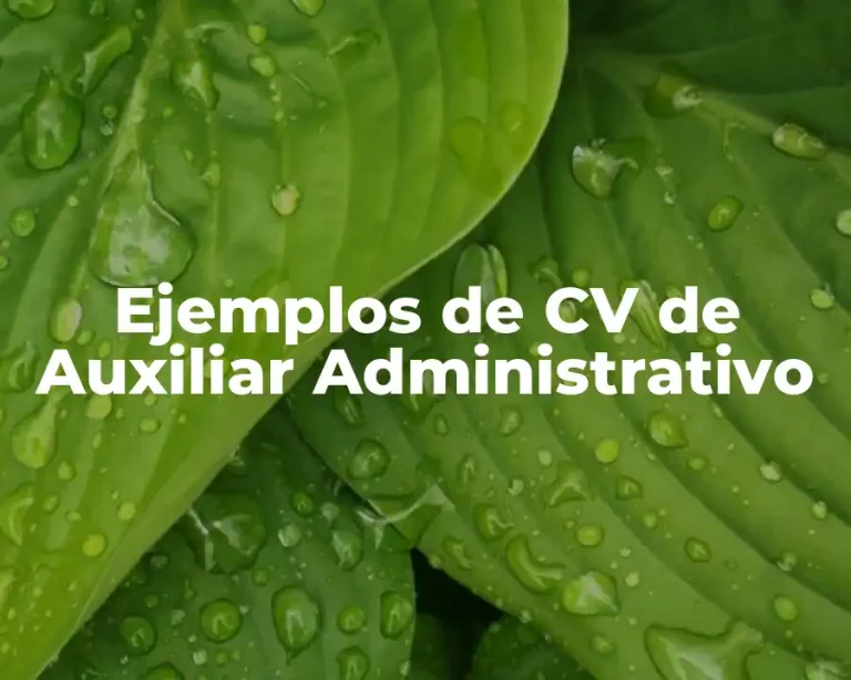 Ejemplos de CV de Auxiliar Administrativo