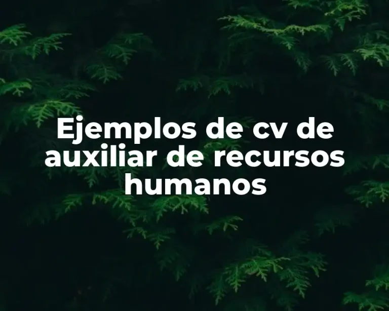 Ejemplos de cv de auxiliar de recursos humanos
