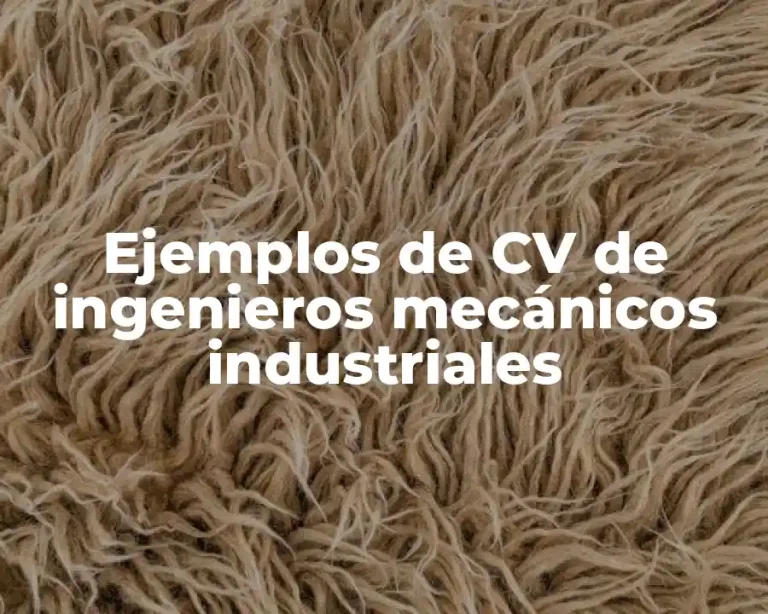 Ejemplos de CV de ingenieros mecánicos industriales