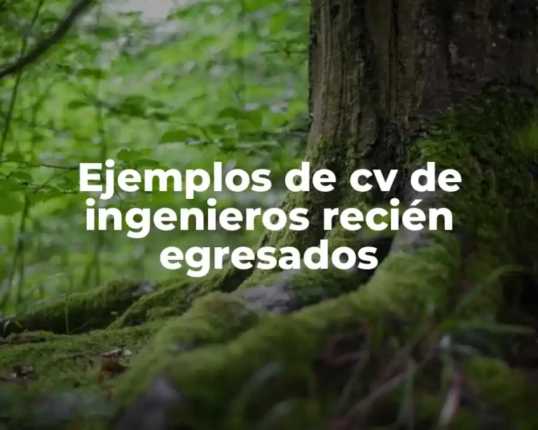 Ejemplos de cv de ingenieros recién egresados