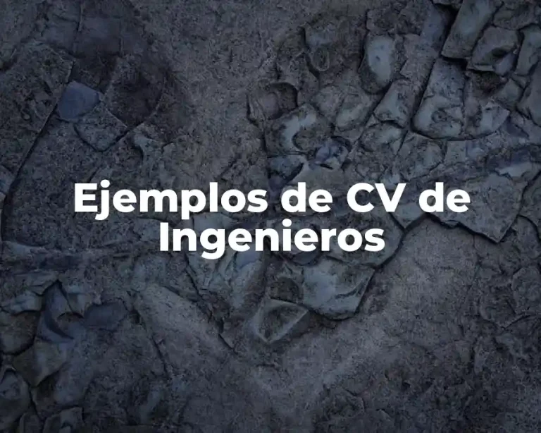 Ejemplos de CV de Ingenieros