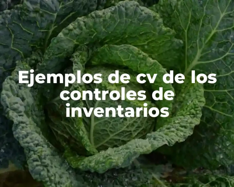 Ejemplos de cv de los controles de inventarios