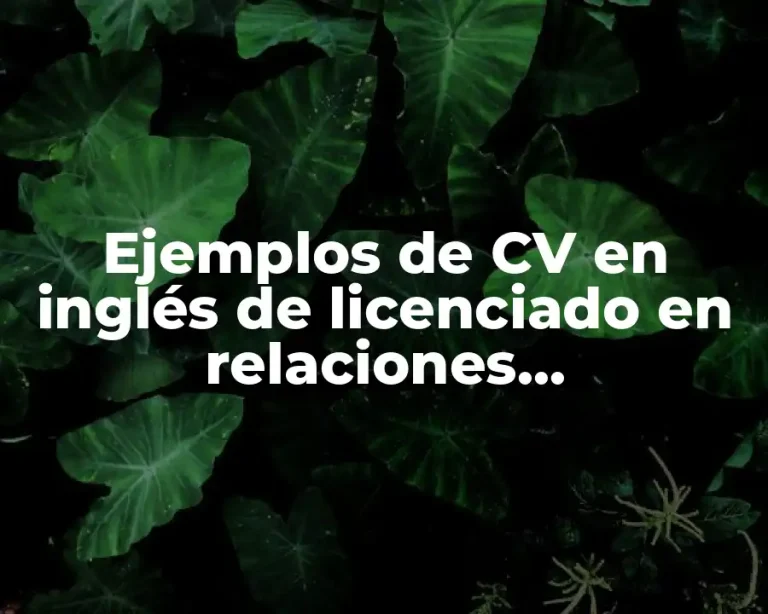 Ejemplos de CV en inglés de licenciado en relaciones internacionales