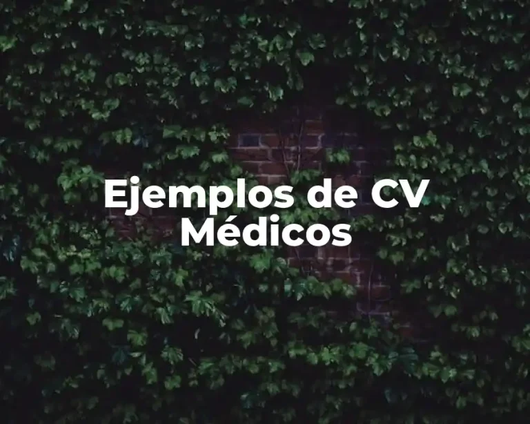Ejemplos de CV Médicos