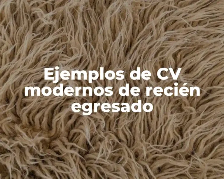 Ejemplos de CV modernos de recién egresado