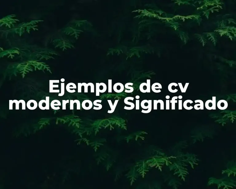 Ejemplos de cv modernos y Significado