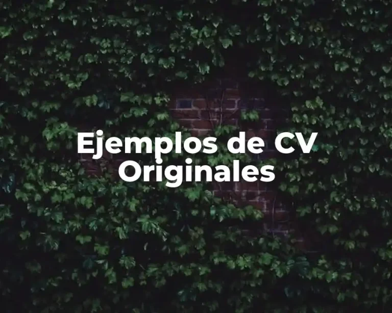 Ejemplos de CV Originales