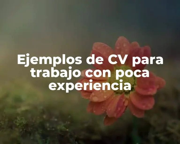 Ejemplos de CV para trabajo con poca experiencia