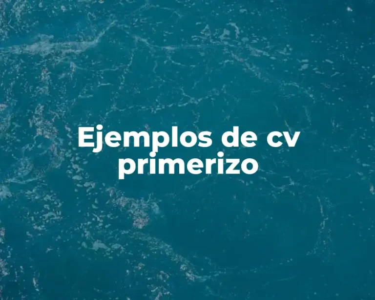 Ejemplos de cv primerizo