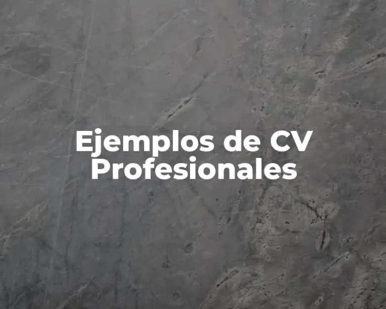 Ejemplos de CV Profesionales