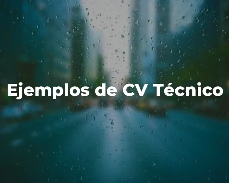 Ejemplos de CV Técnico