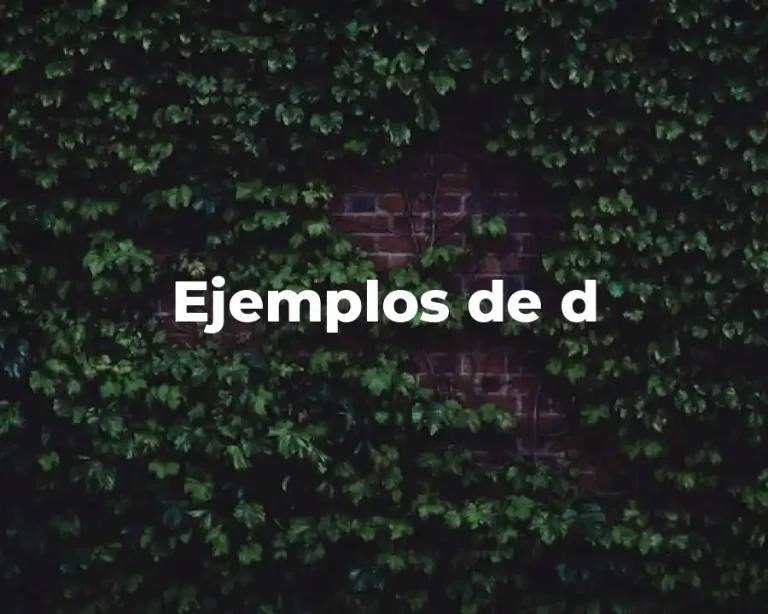Ejemplos de d