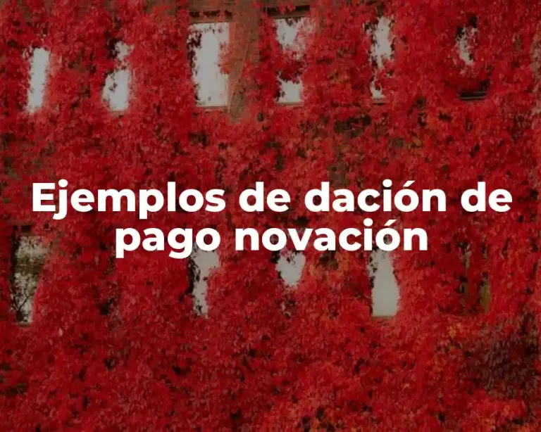 Ejemplos de dación de pago novación
