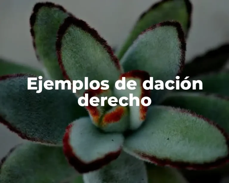 Ejemplos de dación derecho
