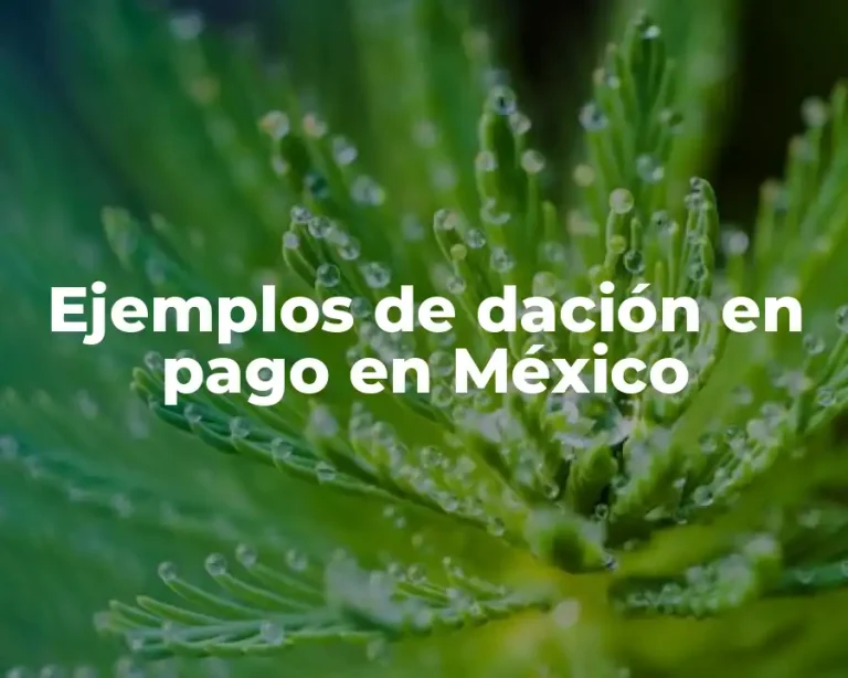 Ejemplos de dación en pago en México