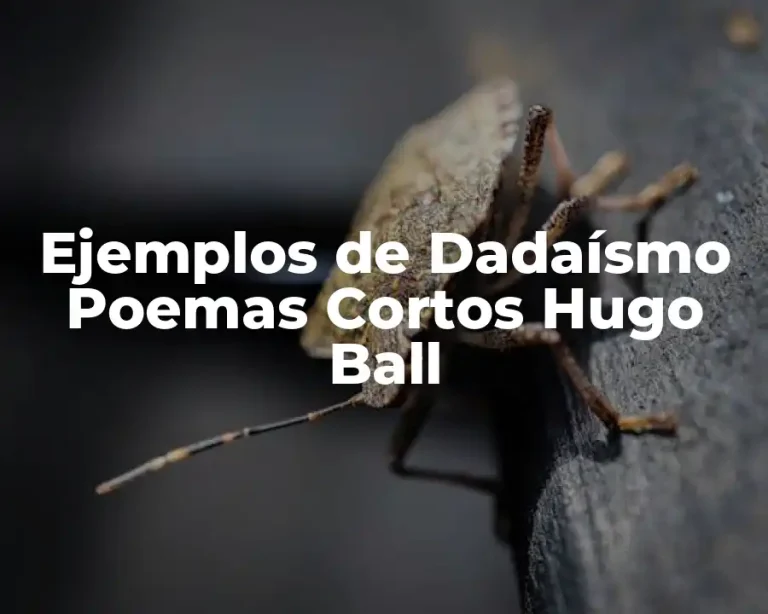 Ejemplos de Dadaísmo Poemas Cortos Hugo Ball