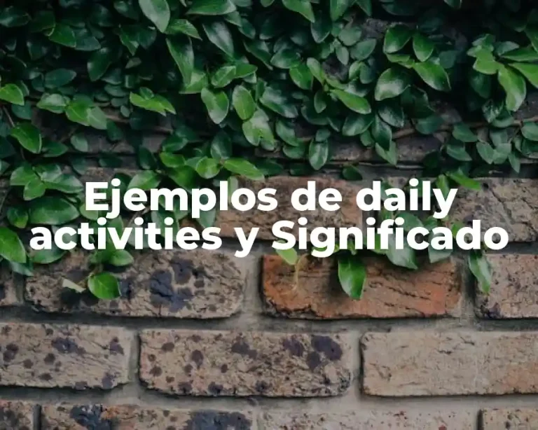 Ejemplos de daily activities y Significado