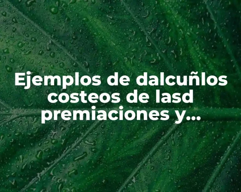 Ejemplos de dalcuñlos costeos de lasd premiaciones y Significado