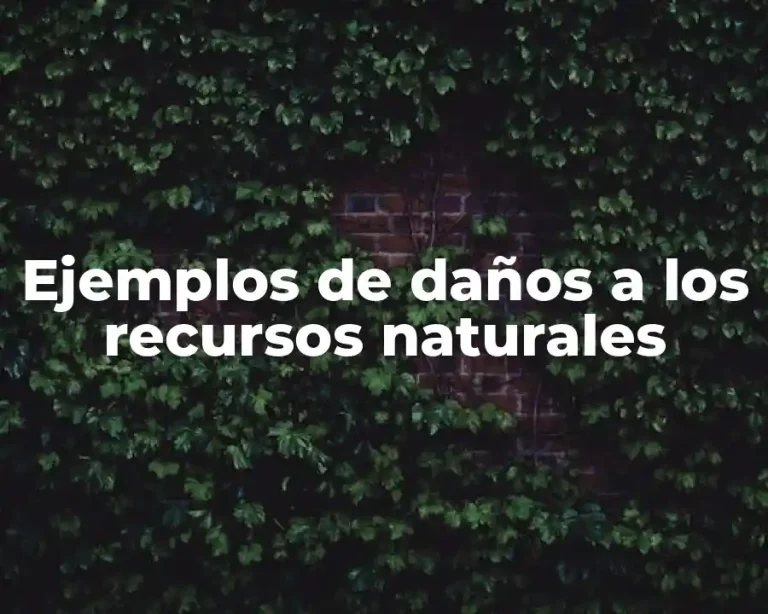 Ejemplos de daños a los recursos naturales