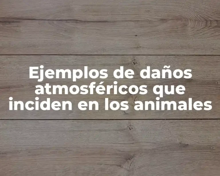 Ejemplos de daños atmosféricos que inciden en los animales