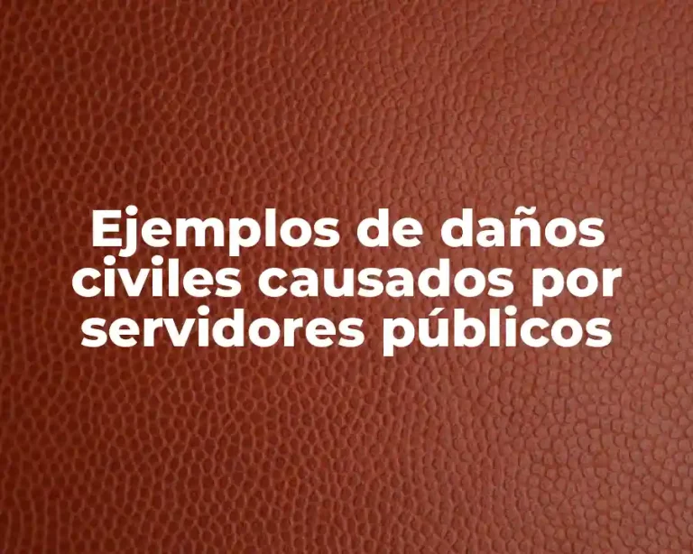 Ejemplos de daños civiles causados por servidores públicos