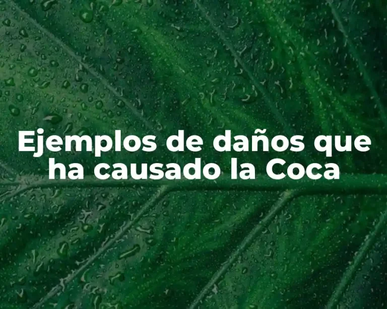 Ejemplos de daños que ha causado la Coca