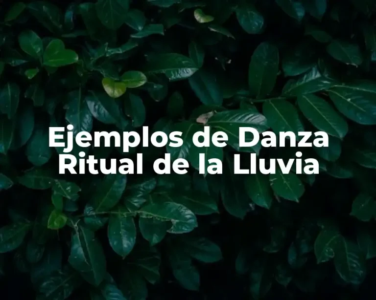Ejemplos de Danza Ritual de la Lluvia