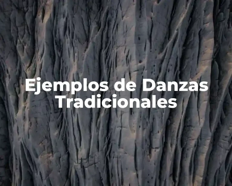 Ejemplos de Danzas Tradicionales