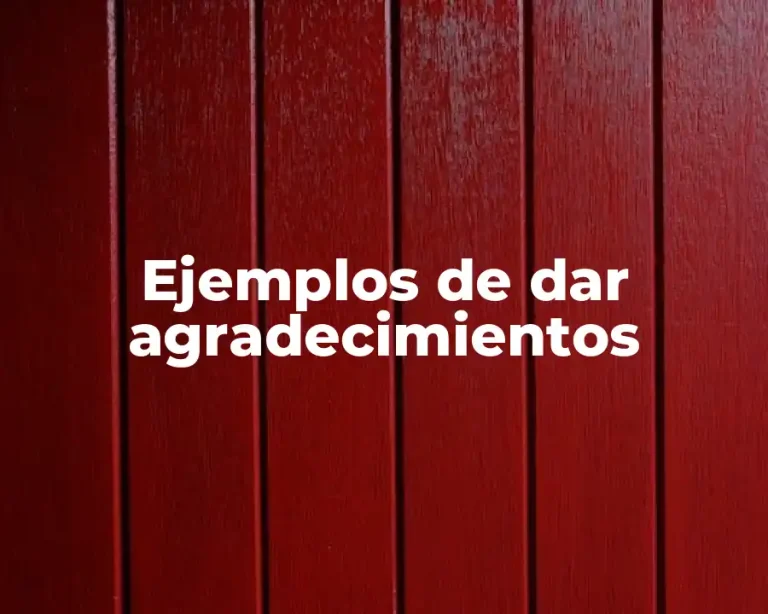 Ejemplos de dar agradecimientos