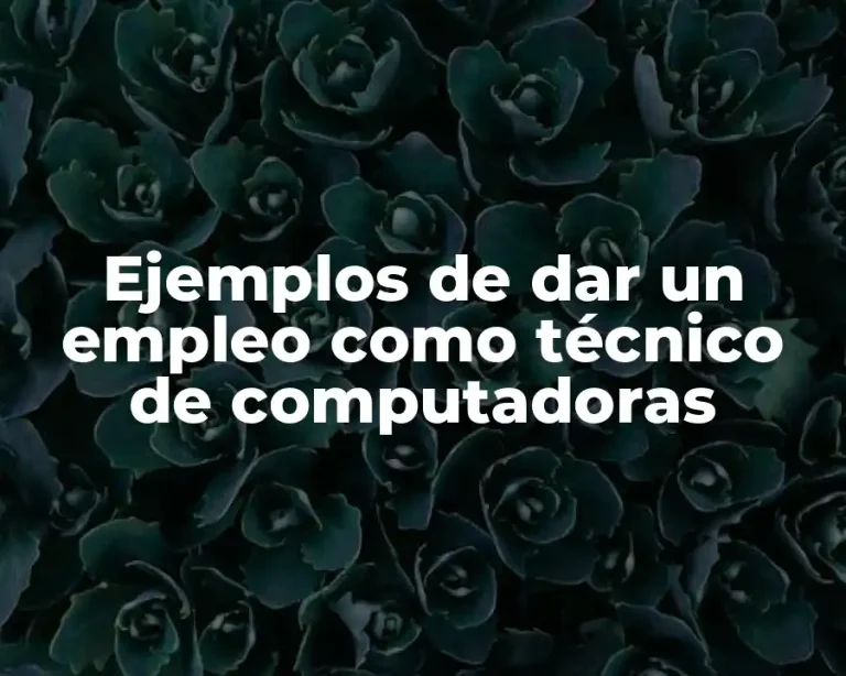 Ejemplos de dar un empleo como técnico de computadoras