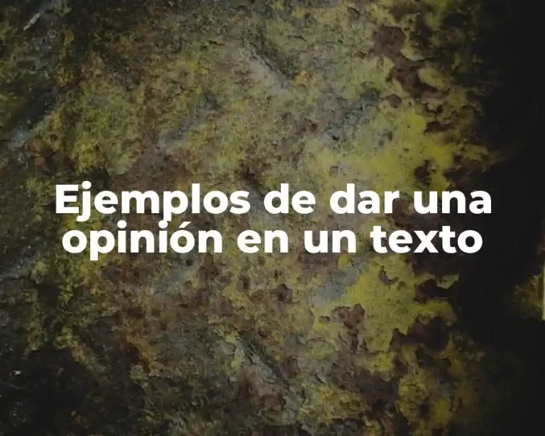 Ejemplos de dar una opinión en un texto