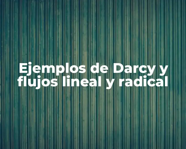 Ejemplos de Darcy y flujos lineal y radical