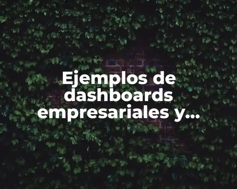 Ejemplos de dashboards empresariales y Significado
