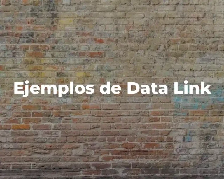 Ejemplos de Data Link