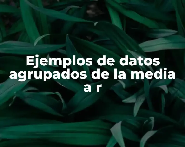 Ejemplos de datos agrupados de la media a r