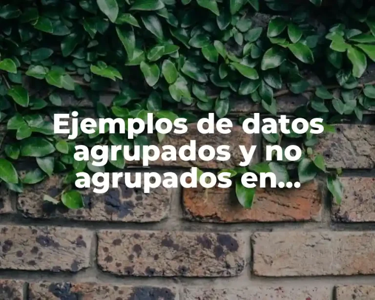 Ejemplos de datos agrupados y no agrupados en estadística y Significado